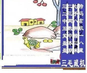 26075期: 三毛3D精品图谜