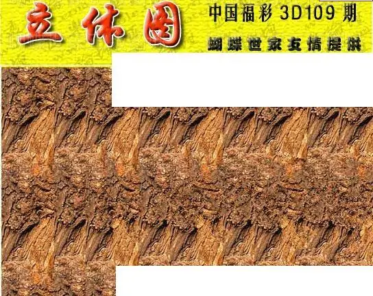 25109期: 3D蝴蝶世家蝴蝶彩图