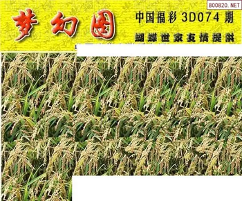 26074期: 3D蝴蝶世家蝴蝶彩图