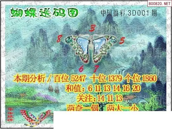 26001期: 3D蝴蝶世家蝴蝶彩图