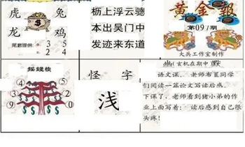 26097期: 大兵福彩3D黄金报图版