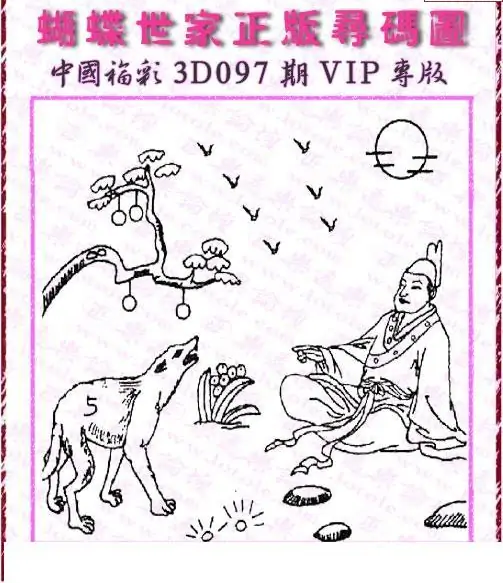 25097期: 3D蝴蝶世家蝴蝶彩图