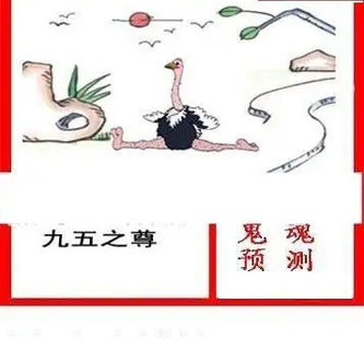 26032期: 白老3D杀码图版