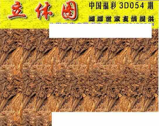 25054期: 3D蝴蝶世家蝴蝶彩图