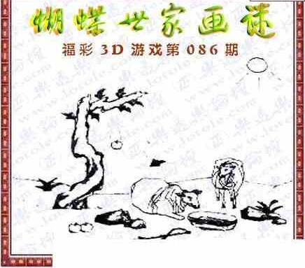 24086期: 3D蝴蝶世家蝴蝶彩图