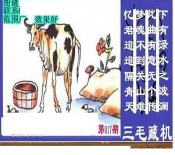 26017期: 三毛3D精品图谜