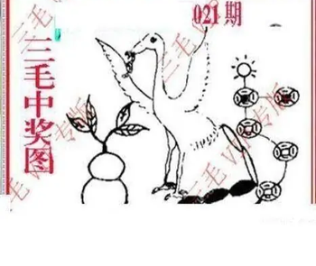 26021期: 三毛3D精品图谜