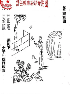 26081期: 老村长福彩3D天天图谜