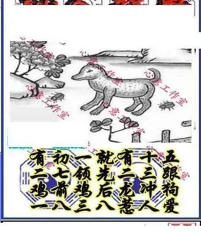 25347期: 三毛3D精品图谜