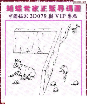 26079期: 3D蝴蝶世家蝴蝶彩图