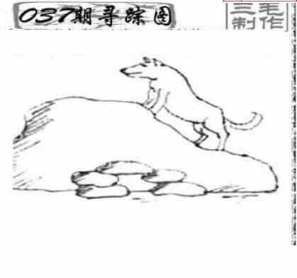 25037期: 三毛3D精品图谜