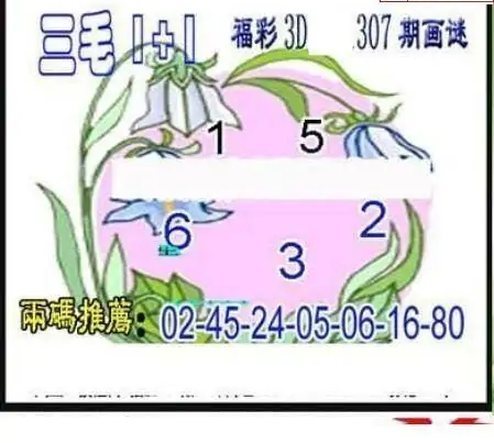 25307期: 三毛3D精品图谜