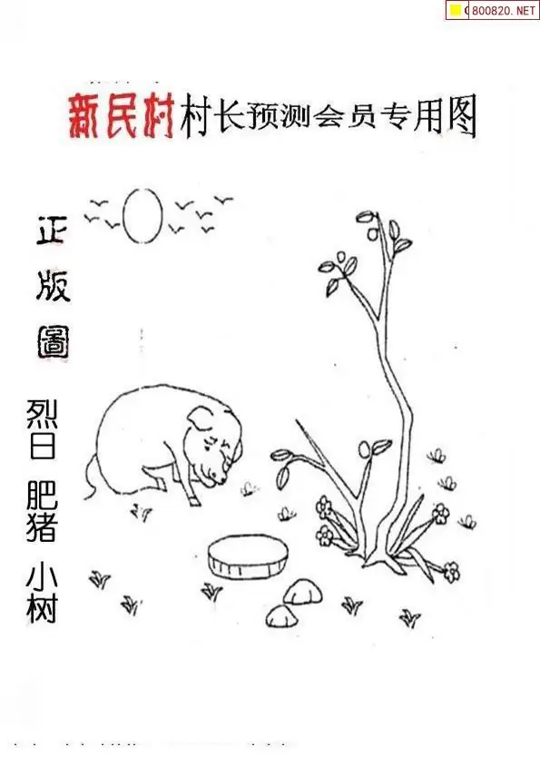 25191期: 老村长福彩3D天天图谜