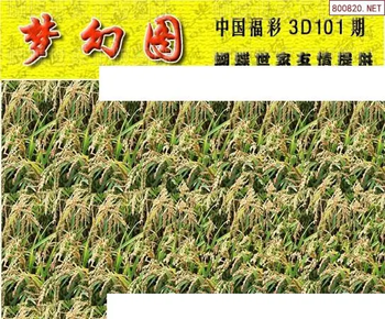 26101期: 3D蝴蝶世家蝴蝶彩图