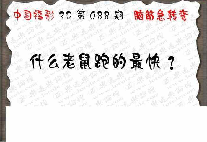 24088期: 3D蝴蝶世家蝴蝶彩图