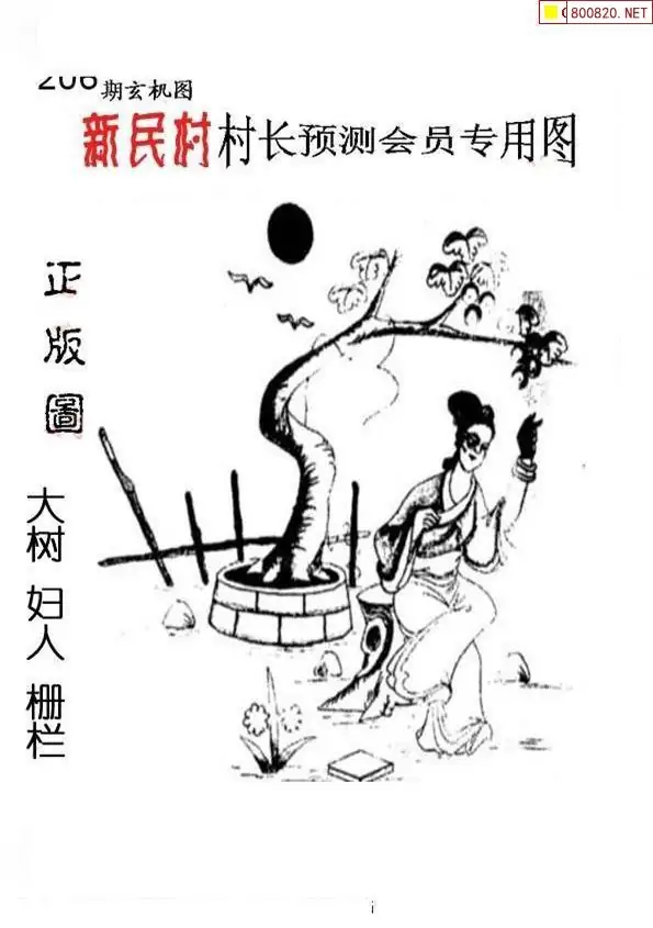 25206期: 老村长福彩3D天天图谜