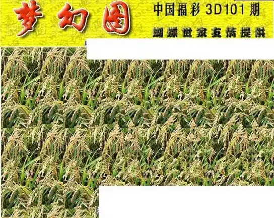 25101期: 3D蝴蝶世家蝴蝶彩图