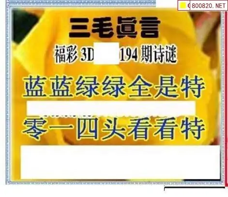 25194期: 三毛3D精品图谜