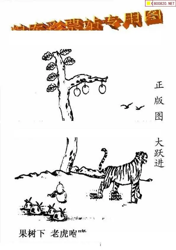 25193期: 老村长福彩3D天天图谜