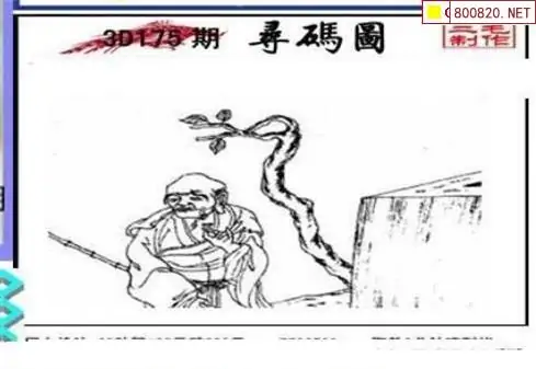 25175期: 三毛3D精品图谜