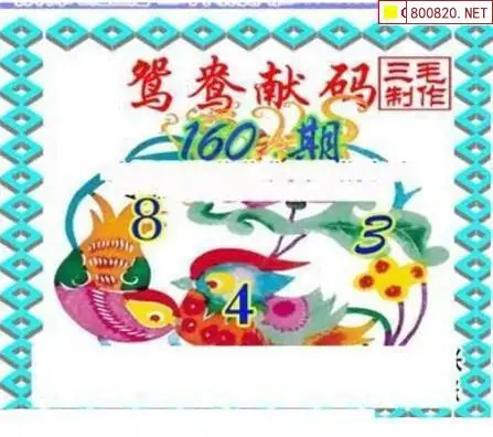 25160期: 三毛3D精品图谜