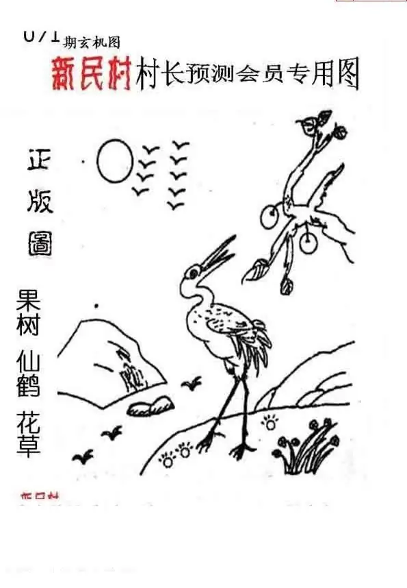 25071期: 老村长福彩3D天天图谜