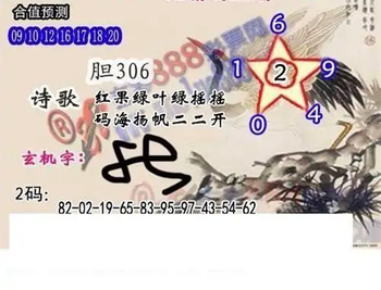 25337期: 白老3D杀码图版