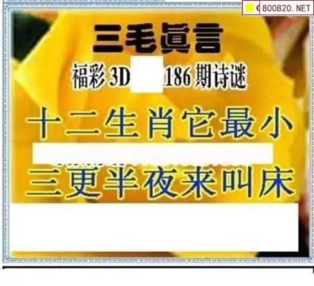 25186期: 三毛3D精品图谜