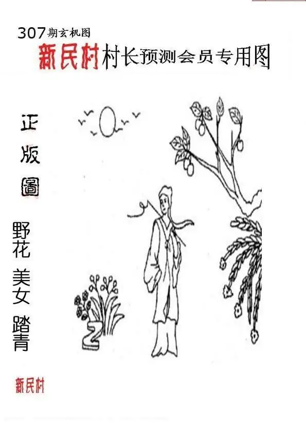 25307期: 老村长福彩3D天天图谜