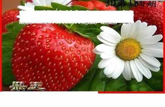 24180期: 白老3D杀码图版