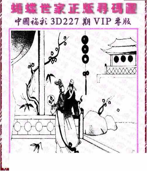 24227期: 3D蝴蝶世家蝴蝶彩图