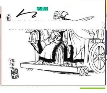 25337期: 三毛3D精品图谜