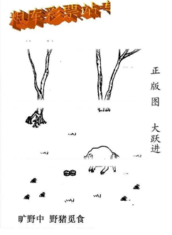 26010期: 老村长福彩3D天天图谜