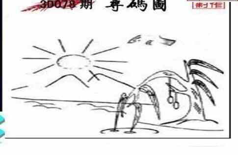 24078期: 三毛3D精品图谜