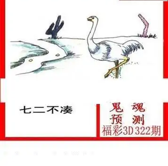 25322期: 白老3D杀码图版