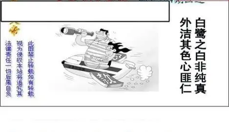 25264期: 白老3D杀码图版