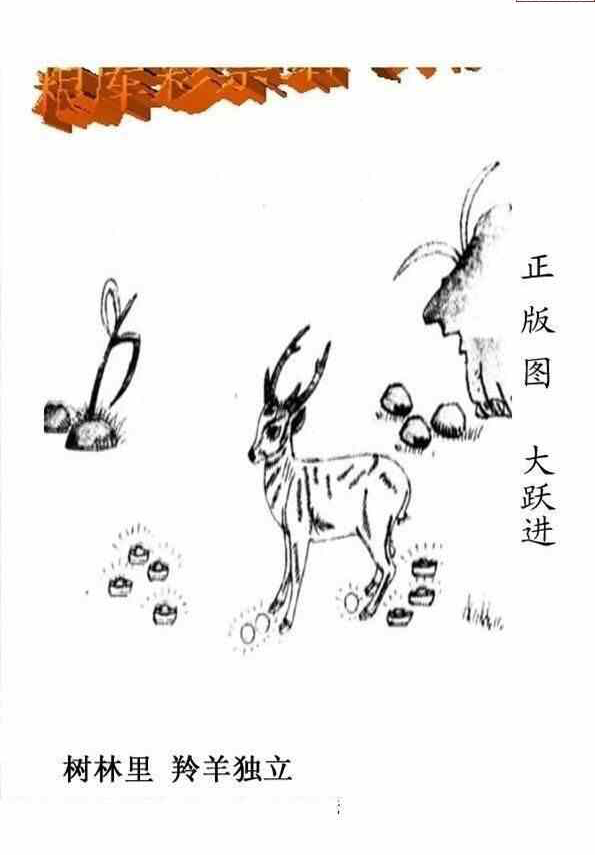 24139期: 老村长福彩3D天天图谜