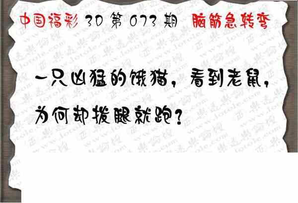 24073期: 3D蝴蝶世家蝴蝶彩图