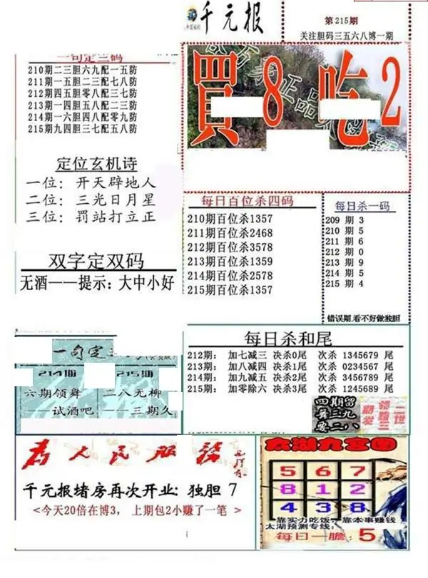 25215期: 福彩3D全套图版参考