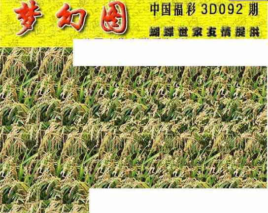 24092期: 3D蝴蝶世家蝴蝶彩图