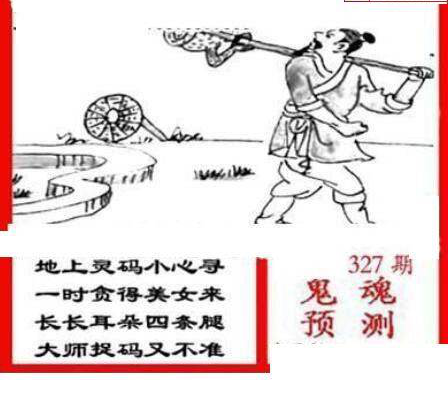 24327期: 三毛3D精品图谜