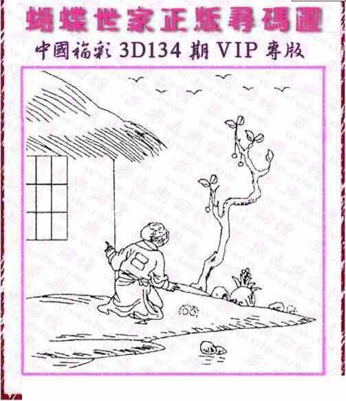 24134期: 3D蝴蝶世家蝴蝶彩图