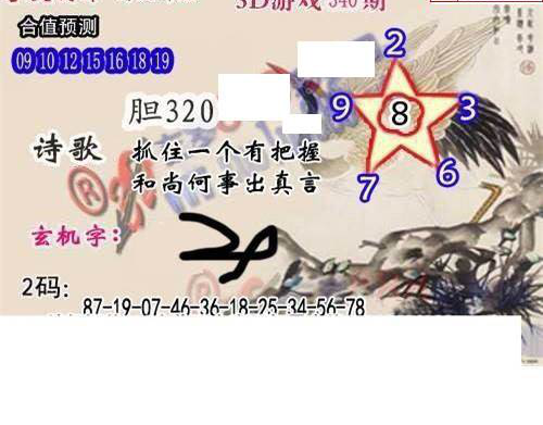 24340期: 白老3D杀码图版