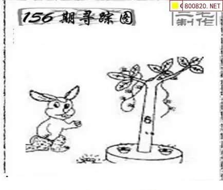 25156期: 三毛3D精品图谜