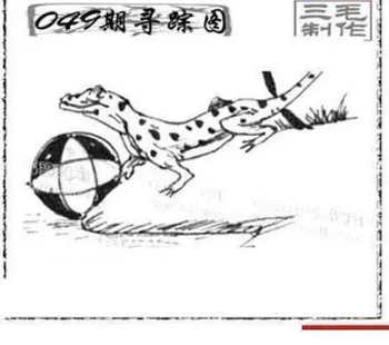 26049期: 三毛3D精品图谜