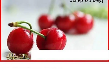 26010期: 白老3D杀码图版