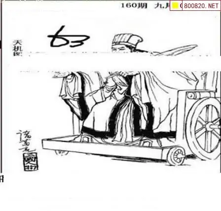 25160期: 三毛3D精品图谜