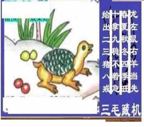 25035期: 三毛3D精品图谜