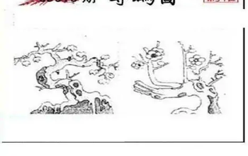 25318期: 三毛3D精品图谜