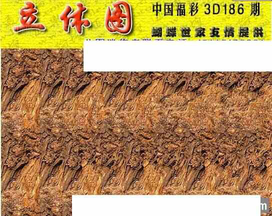 24186期: 3D蝴蝶世家蝴蝶彩图